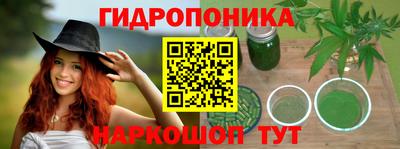 Альфа ПВП Рузаевка